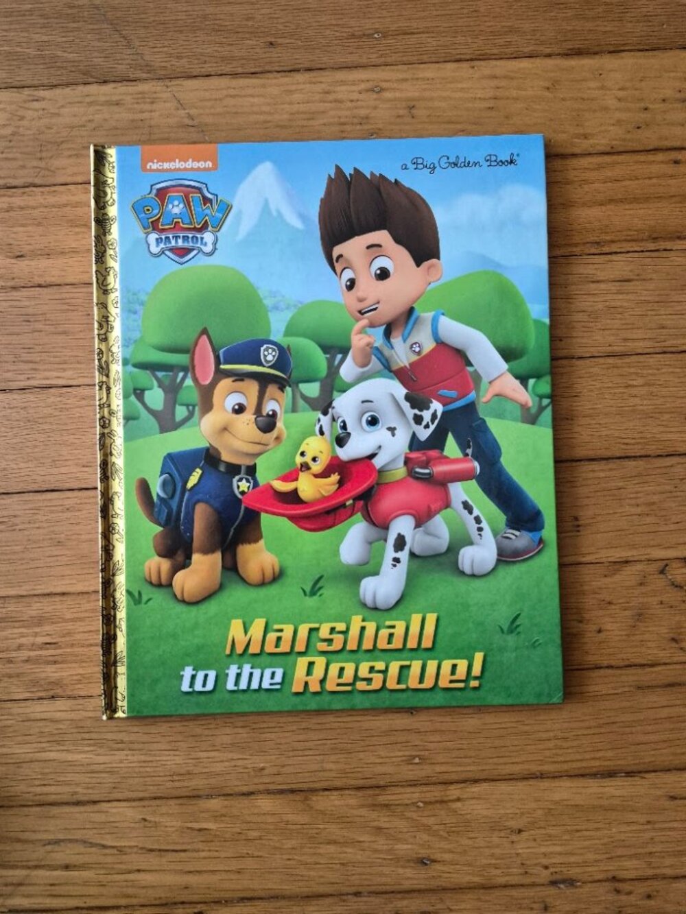 Paw Patrol Marshall To The Rescue
